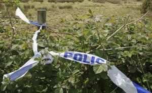 日警方抓獲“中國實習生遇襲案”嫌犯：5名越南人，有男有女