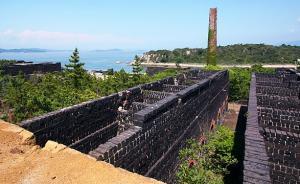 日本青年的上山下鄉(xiāng)：反思藝術(shù)造村潮