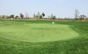 上?！扒缣炫Z”擊中姐弟倆，弟弟死亡姐姐生命垂危