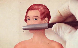 有一个电影节，只放变态片