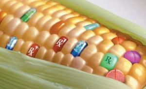 檢察日報：轉基因食品是否安全誰說了算？