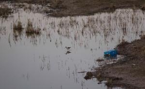 环保部：上半年落实中央领导批示突发环境事件31起