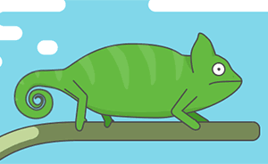 冷知识 | 变色龙为什么变色？就因为“任性”而已！