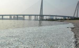 天津市環(huán)境監(jiān)測(cè)中心：出現(xiàn)死魚河段未檢出氰化物