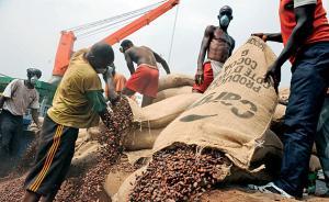 美媒：中國經(jīng)濟若減速將影響非洲，出口旅游和制造業(yè)最受打擊