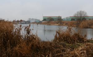 為保障黃浦江上游飲用水水源，上海將關(guān)停調(diào)整104家企業(yè)