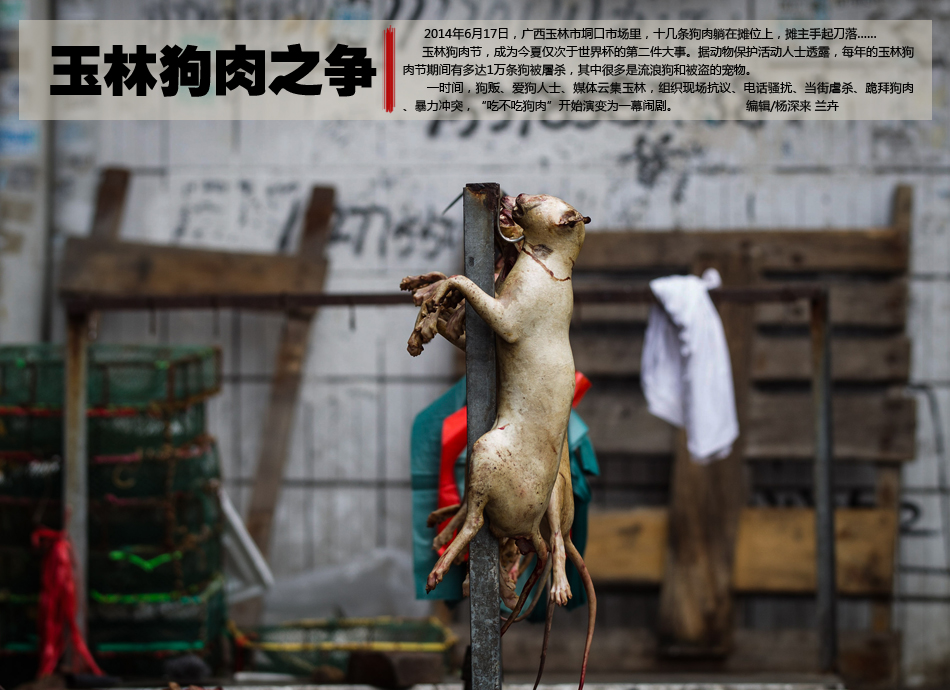 000dfzb20140617_0097_950