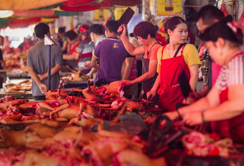 003dfzb20140617_0121