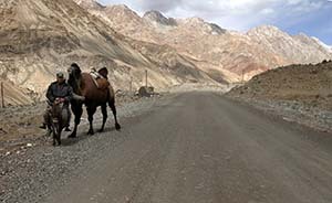 丝路申遗原本有五国参加，因过于庞大而拆分