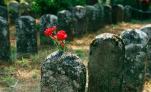 寻访无名烈士墓（下）远征军遗骨覆盖松山，山上的树都高又直