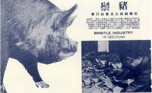 访谈︱赵国壮：井盐、猪鬃、蚕丝……大后方用特产支援抗战