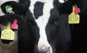 中國(guó)公司重金投資澳大利亞農(nóng)業(yè)，澳政界憂心中資控制過(guò)多土地