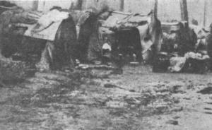 閘北區是怎樣變為“下只角”的