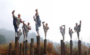 少林很忙也很貴！每月1300美元