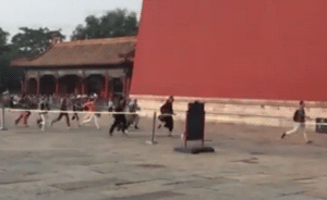 獨家｜觀眾狂奔入宮觀展，故宮博物院院長表示將采取改進措施