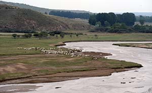 美國考古學(xué)家稱治理黃河工程導(dǎo)致西漢滅亡