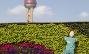 上海将建成120公里外环绿道，市民可步行或骑车游憩交往