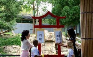 赴美大熊貓美香誕下的幼崽有名字了，中美第一夫人齊命名