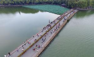 黄金周西湖断桥将成“断桥”，一分为二设花箱隔离带疏导游客