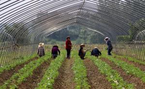 人民日報發(fā)文建議重塑新鄉(xiāng)賢文化，倡議鄉(xiāng)賢掛職當(dāng)“村官”