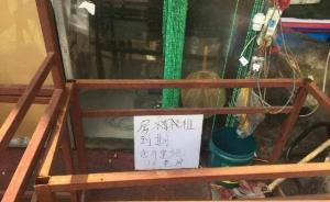 青岛天价虾店老板失联了？官方回应：跑不了，在掌控中