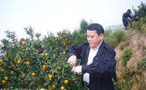 江西南豐公安局長降為科員，系該省首個違規(guī)插手工程被免案例