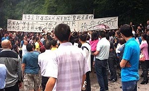 峨眉山市委書記回應村民維權(quán)：發(fā)還林權(quán)證并提高林地補償