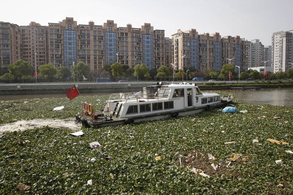 04_08_dfzb20151010_0019