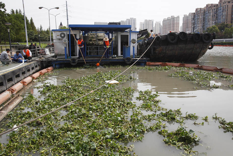 05_10_dfzb20151010_0003