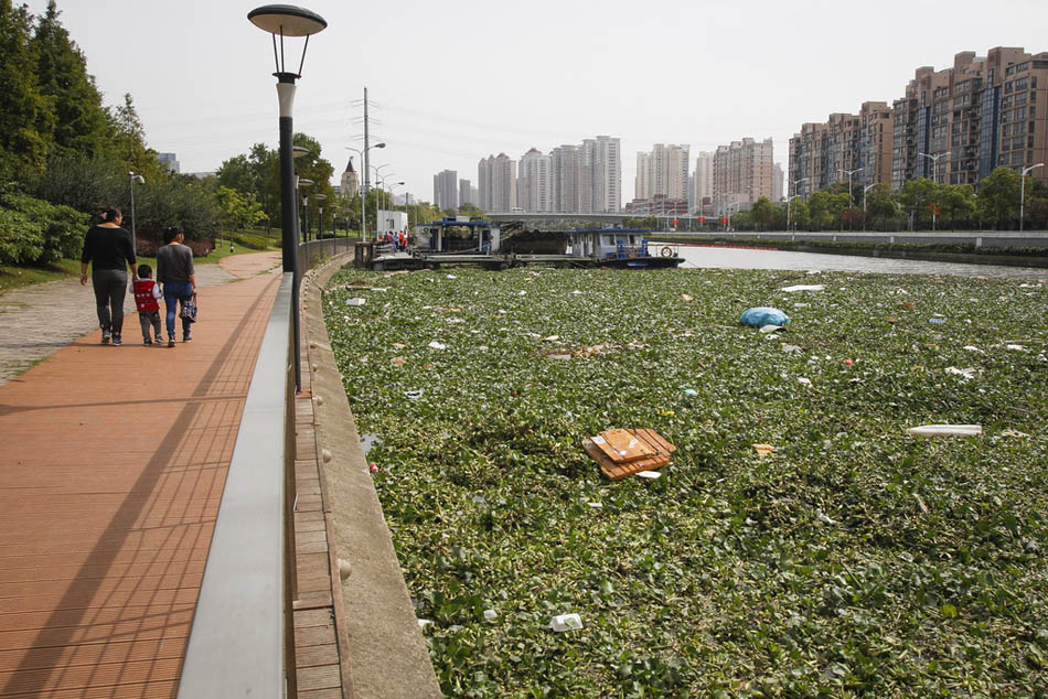 07_11_dfzb20151010_0004