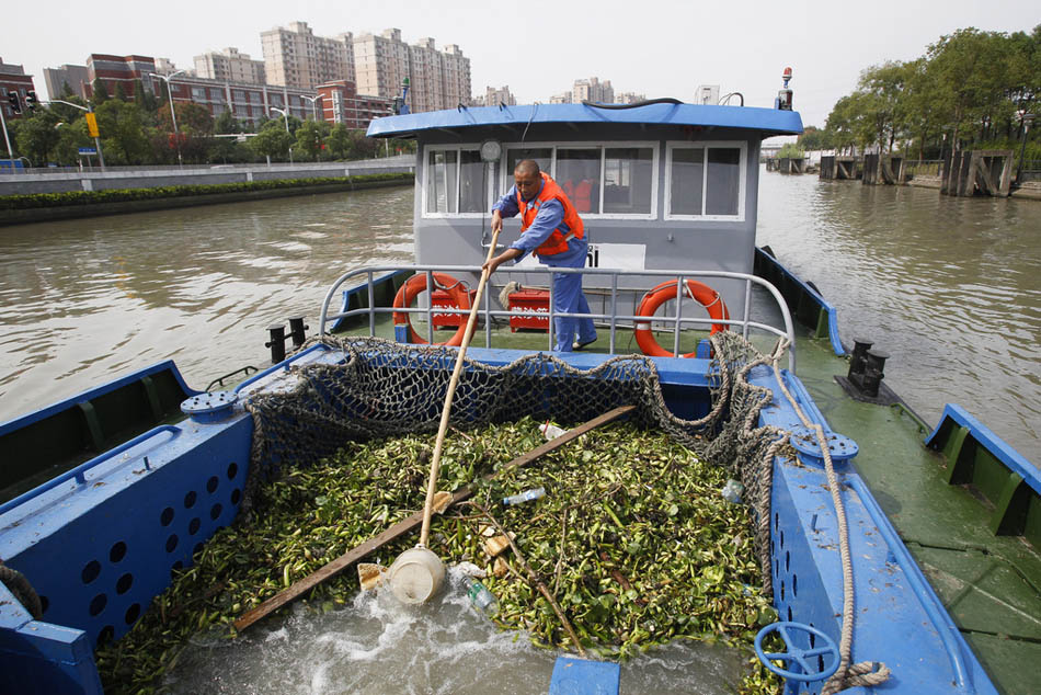 08_12_dfzb20151010_0005