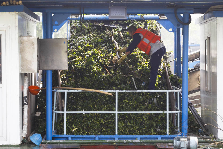 09_13_dfzb20151010_0007