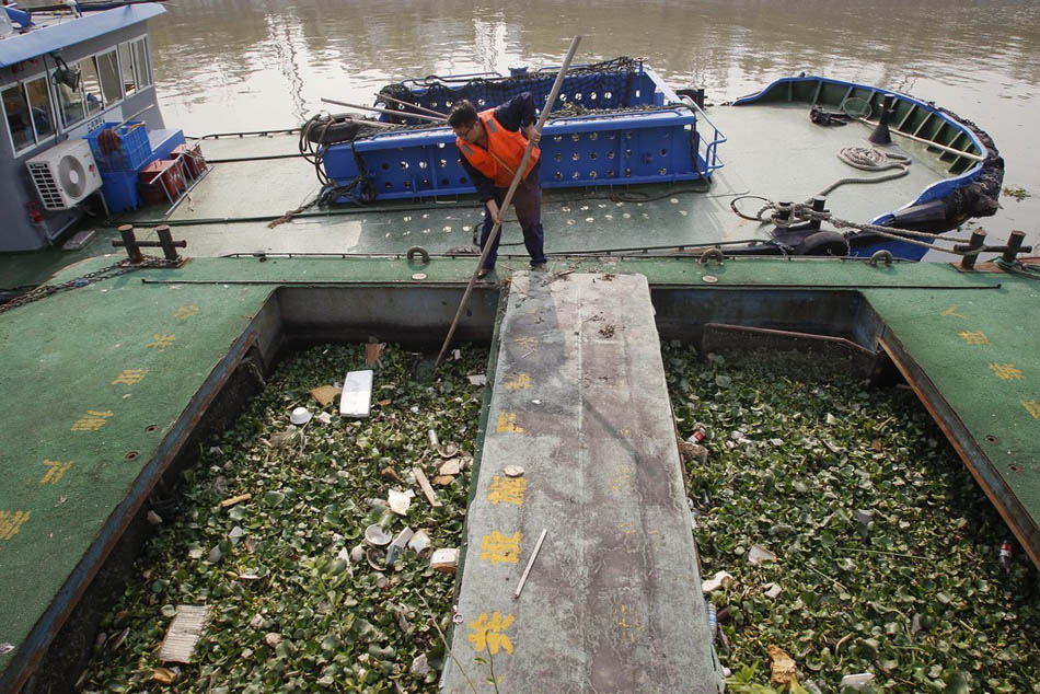 11_15_dfzb20151013_0038