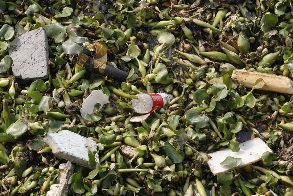 12_16_dfzb20151013_0041