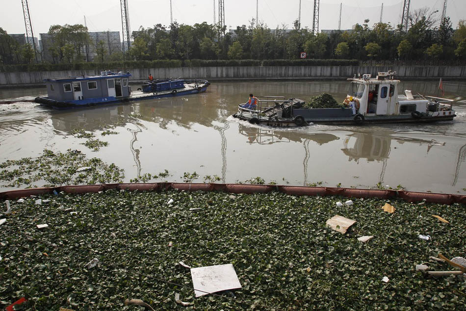 13_17_dfzb20151013_0044