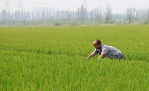 争鸣|反思杜润生改革：中国发展首先要解决农民的组织化难题