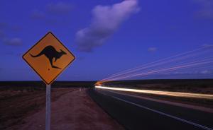 上海外企白领在澳租车自驾游遇车祸身亡，家人赴当地处理后事