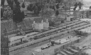 饶毅:谁是从中药提取抗疟化学分子的第一人？ 