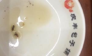 網(wǎng)曝北京慶豐包子鋪吃出蟑螂膩蟲，兩家涉事店鋪停業(yè)整頓