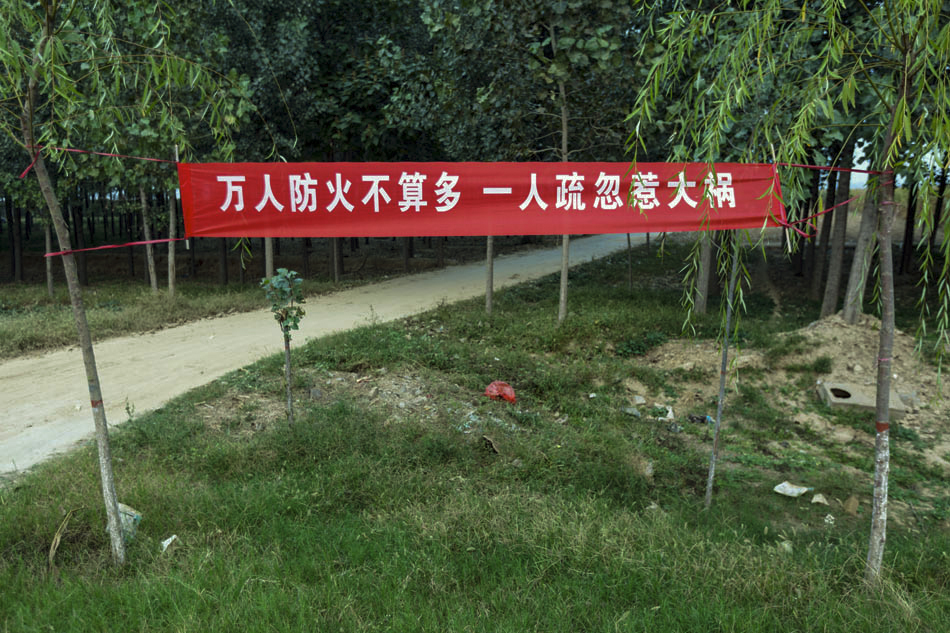 36_cfp473584807