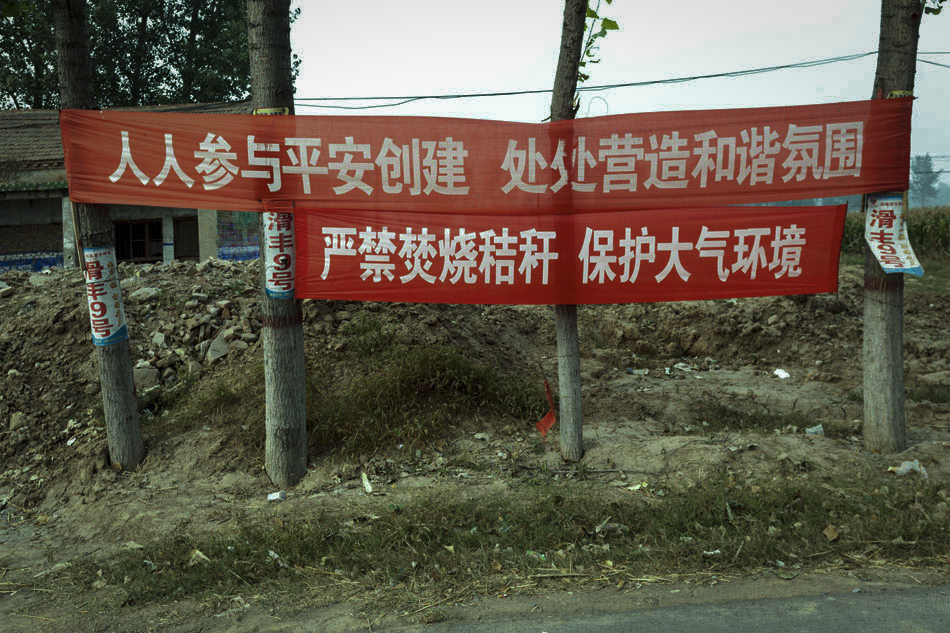 42_cfp473584808