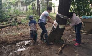市政廳|東京的草原公園：一個(gè)自由的公共空間
