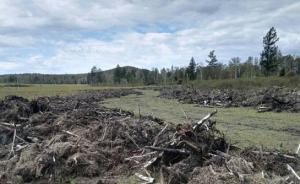 国家林业局回应黑龙江毁林举报：部分属实，督促问责地方官