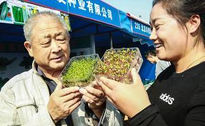 种子法草案：生产经营假劣种子，企业负责人五年内禁止从业