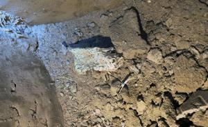 上海嘉定一新樓盤承重墻內(nèi)現(xiàn)編織袋毛竹片，開發(fā)商“拒露面”