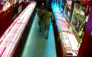 劫匪全副武裝搶金店，僅10秒被店主拿板凳擊退