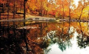 “落葉清掃不及時”致森林景區(qū)考評墊底，南京棲霞山叫屈回應(yīng)