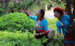 云南昆明官方釋疑民族兄弟勤勞卻不富裕：路不通產(chǎn)品出不來(lái)