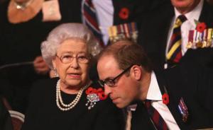 為什么“雙十一”英國人都在胸前別起“小紅花”？