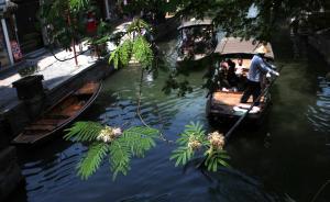 上海拟用三大古镇打造世界级湖区，11月底拿出终极方案